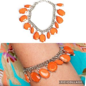 🐾Serendipitous Shimmer✨